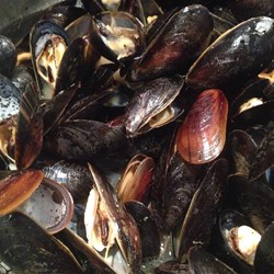 Million Dollar Mussels Recipe