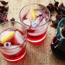 Hibiscus Syrup Recipe