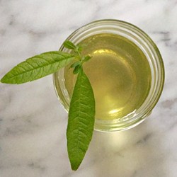 Lemon Verbena Simple Syrup Recipe