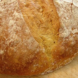 No Knead Holiday Pumpkin Bread Recipe