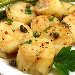 Screaming Martini Scallops Recipe