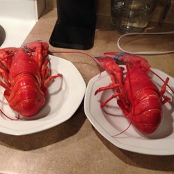 Boiled Lobster Recipe