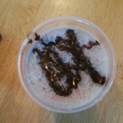 Freeze-Easy Chocolate Shake Recipe