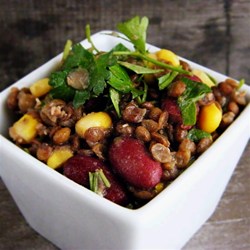 Vegan Lentil Salad Recipe