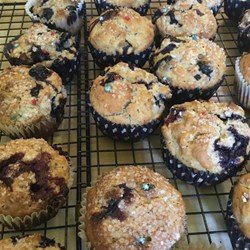 Blueberry Nut Muffins Recipe