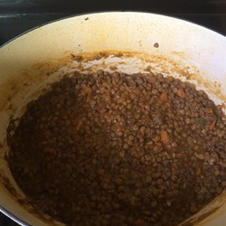 Spicy Lentil Soup Recipe