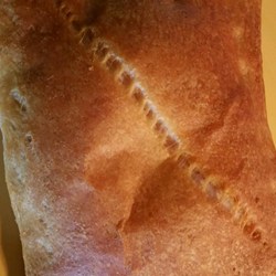 Cream Cheese Filled Croissants Recipe