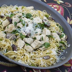 Quick Weeknight Skillet Chicken Recipe