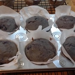 Best Lactose Free Blueberry Muffins Recipe