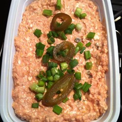 Quick Salsa Dip Recipe