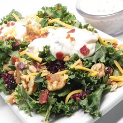 Creamy Bacon Dip Recipe