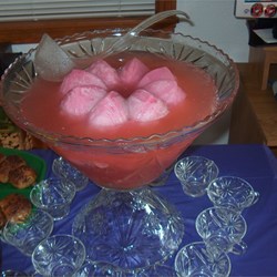 Incredible Punch Recipe