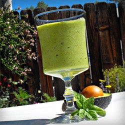 Avocado Smoothie Recipe