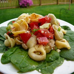 Tortellini Picnic Salad Recipe