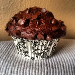 Moist Chocolate Muffins Recipe