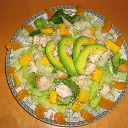 Honey Poppy Seed Dressing Recipe