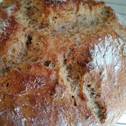 Dutch Oven Caraway Rye Bread Recipe