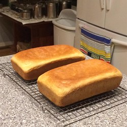 Salt Rising Bread Recipe