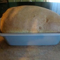 Honey Sourdough Recipe