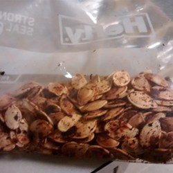 Mexican-Spiced Pumpkin Seeds Recipe