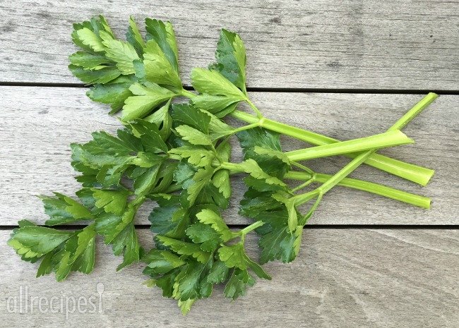 How to Use Celery Leaves | Celery stalk and leaves