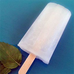 Old Fashioned Vanilla Ice Pops (a.k.a. Pop Pops) Recipe