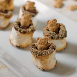 Teddy Bear Hot Tub S'Mores Recipe