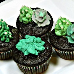 Gluten-Free Dark Chocolate Cupcakes Recipe