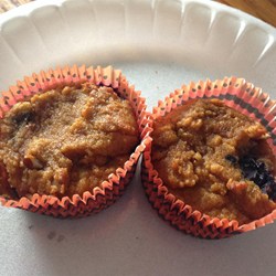 Paleo Blueberry Little Bites Recipe