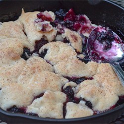 Berry Best Blackberry Cobbler Recipe