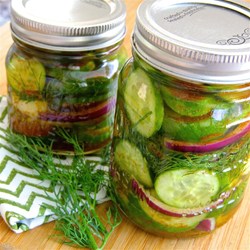 Bill's Spicy Refrigerator Pickles Recipe