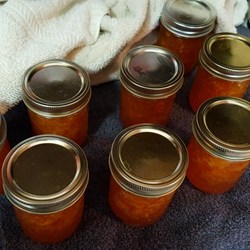 Aunt Patsi's Easy Peach Jam  Recipe