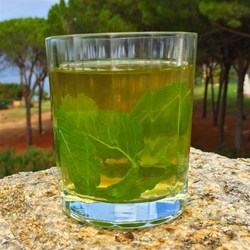 Citrus-Honey Green Tea Recipe