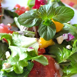 Refreshing Summertime Salad Recipe