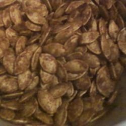 Cinnamon and Ginger Caramelized Pumpkin Seeds Recipe