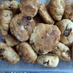 No Cholesterol Chocolate Chip Recipe