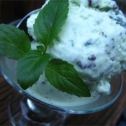 Homemade Mint Chocolate Chip Ice Cream Recipe