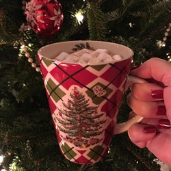 Rich Slow Cooker Hot Chocolate Recipe