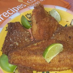 Jim's Mild Spicy Catfish Recipe
