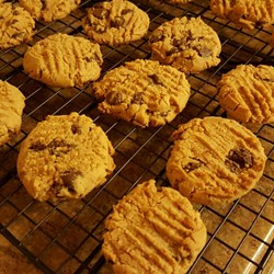 Peanut Butter Chip Cookies II Recipe