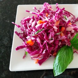 Red Cabbage Slaw with a Twist Recipe