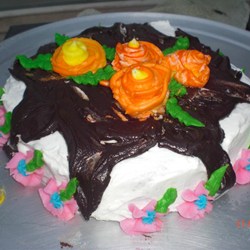 Tarred Roof Cake Recipe
