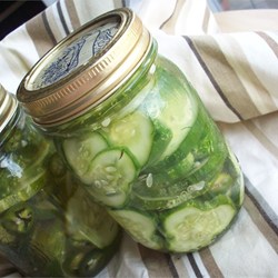 Homemade Refrigerator Pickles Recipe