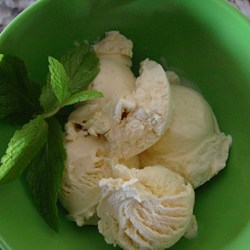 Vanilla Ice Cream VII Recipe