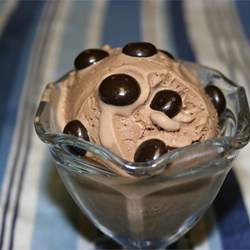 Chocolate-Hazelnut Soy Ice Cream Recipe