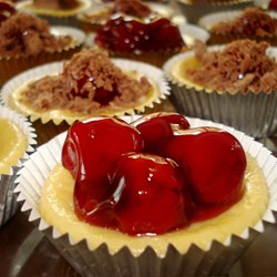 Mini Cheesecakes Recipe