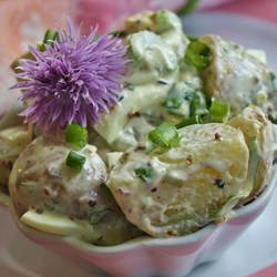Red's Potato Salad Recipe