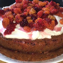 Salmonberry Cake Recipe