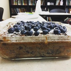 Cocoa Blueberry Cake Recipe
